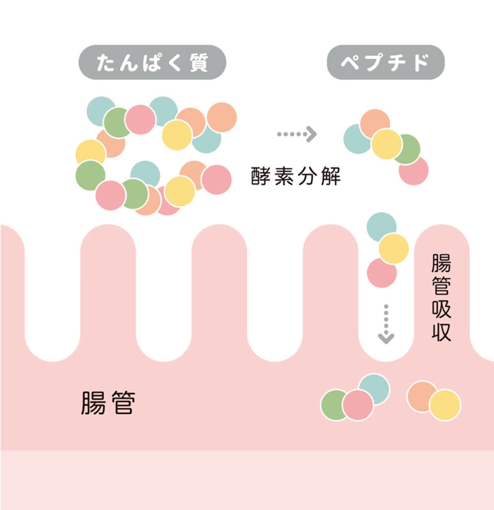 自然の恵味だし~無添加プレミアム「お魚を丸ごと食べるペプチド&栄養スープ」しょうがスープ